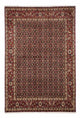 Hosseinabad Tappeto 170x250cm - Tappeto persiano