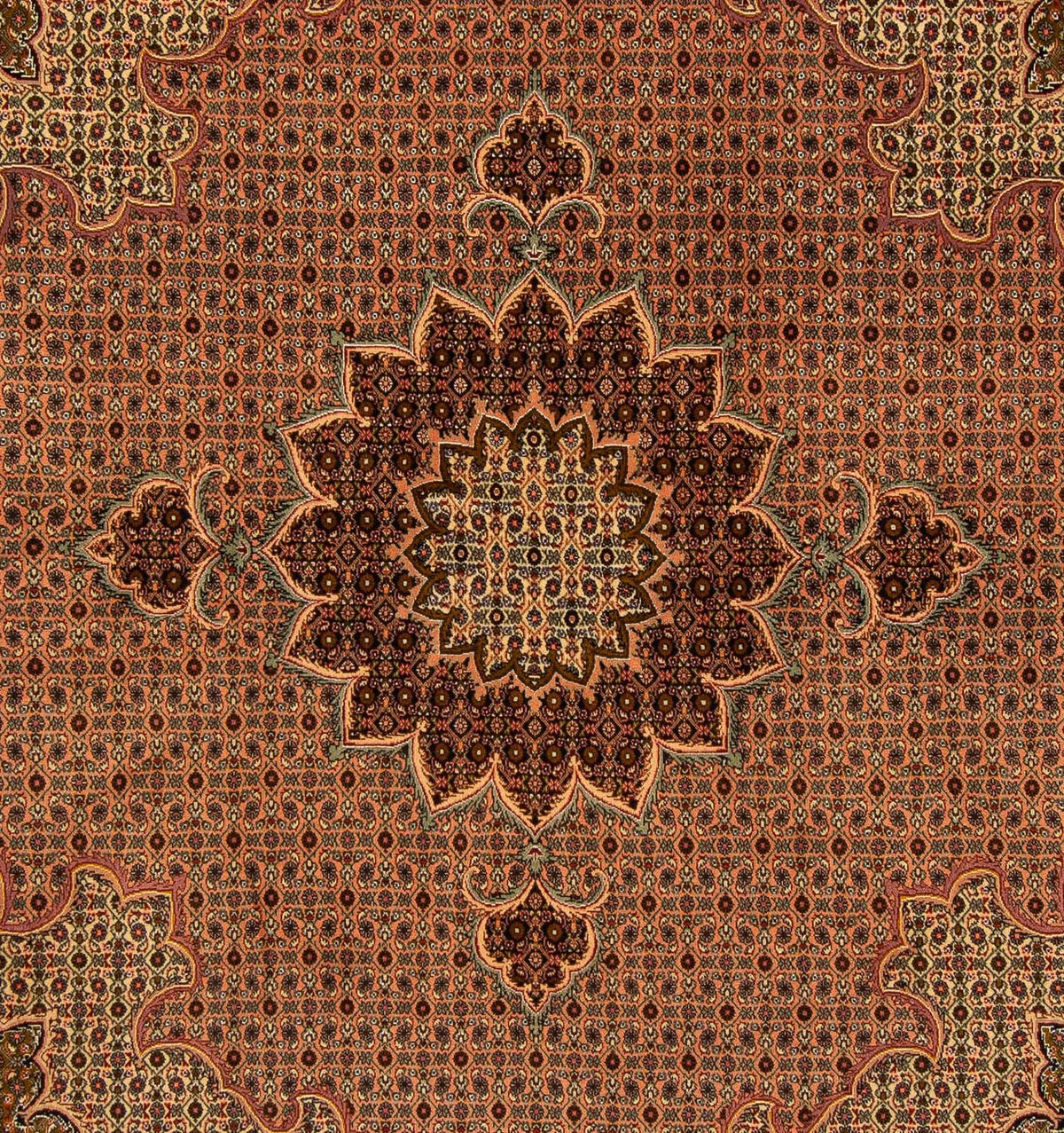 Tappeto Persero - Tabriz quadrato  - 206 x 206 cm - marrone