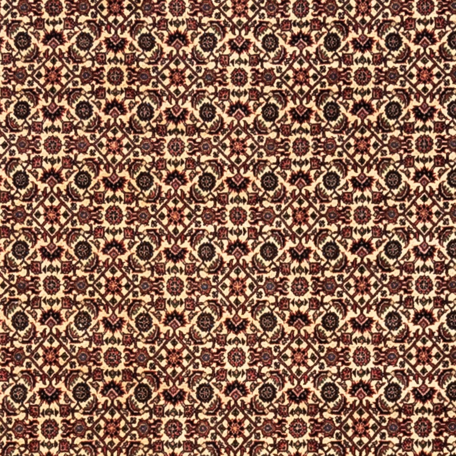 Tappeto Persero - Bidjar - 302 x 208 cm - beige