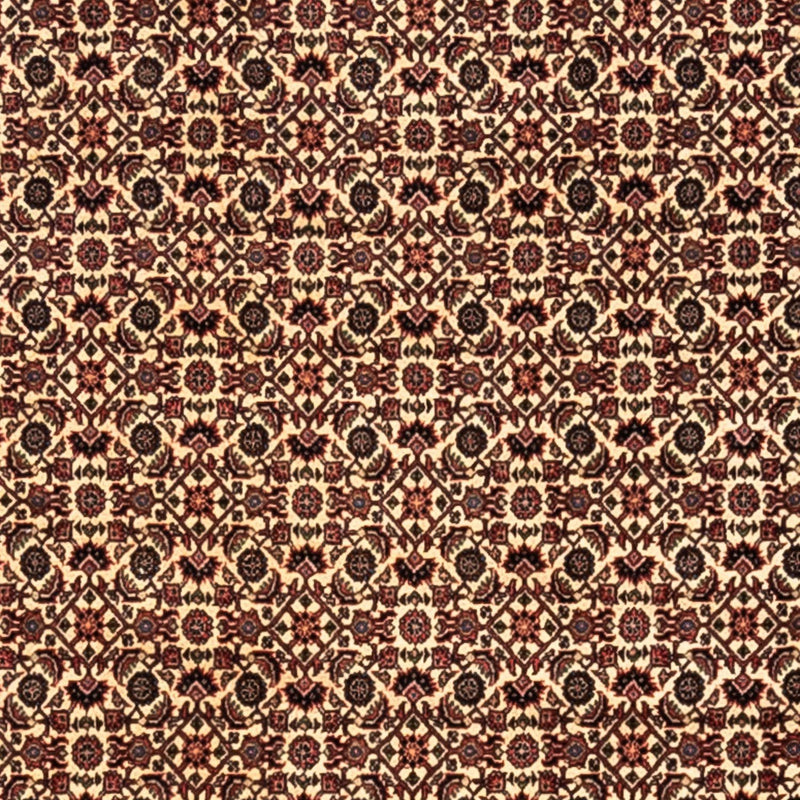 Tappeto Persero - Bidjar - 302 x 208 cm - beige