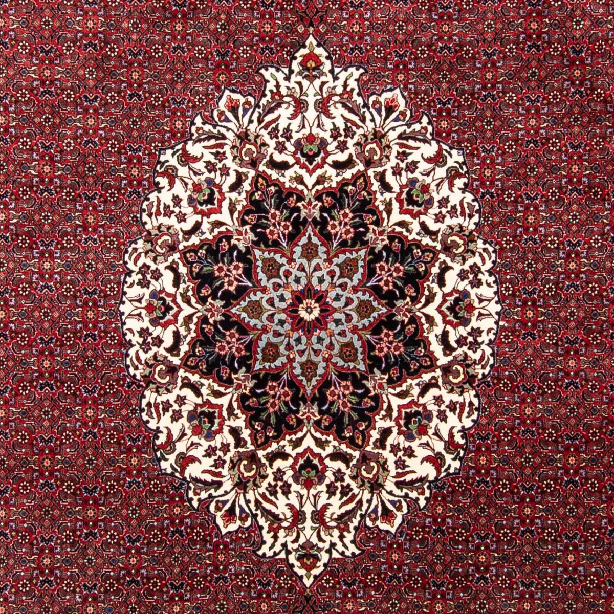Tappeto Persero - Bidjar - 343 x 260 cm - rosso scuro