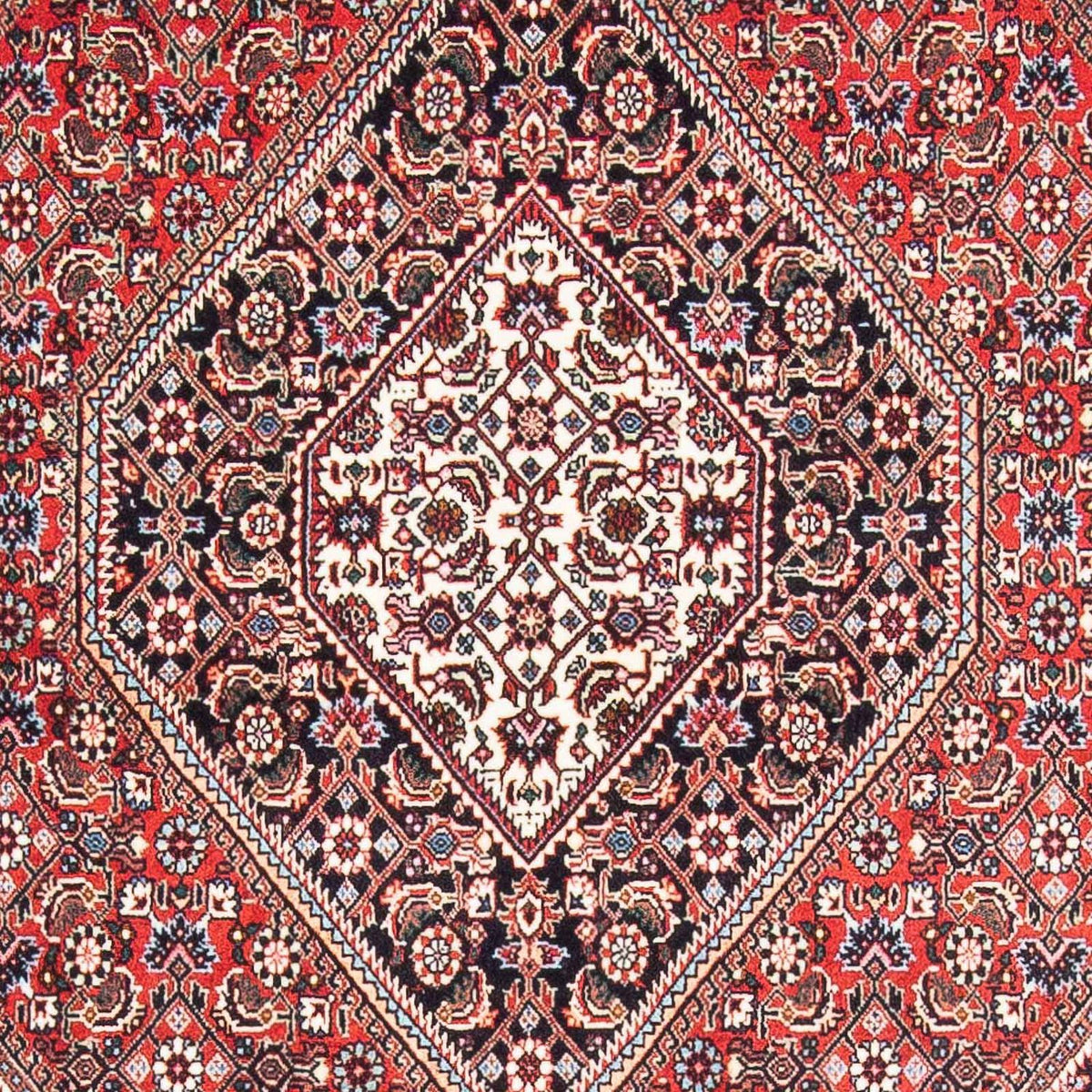 Tappeto Persero - Bidjar - 175 x 110 cm - rosso