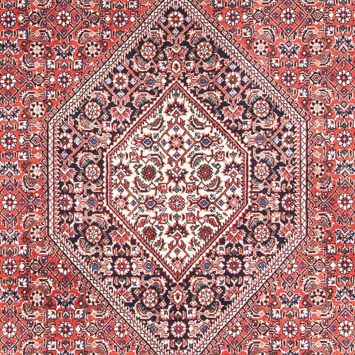 Tappeto Persero - Bidjar - 176 x 112 cm - rosso