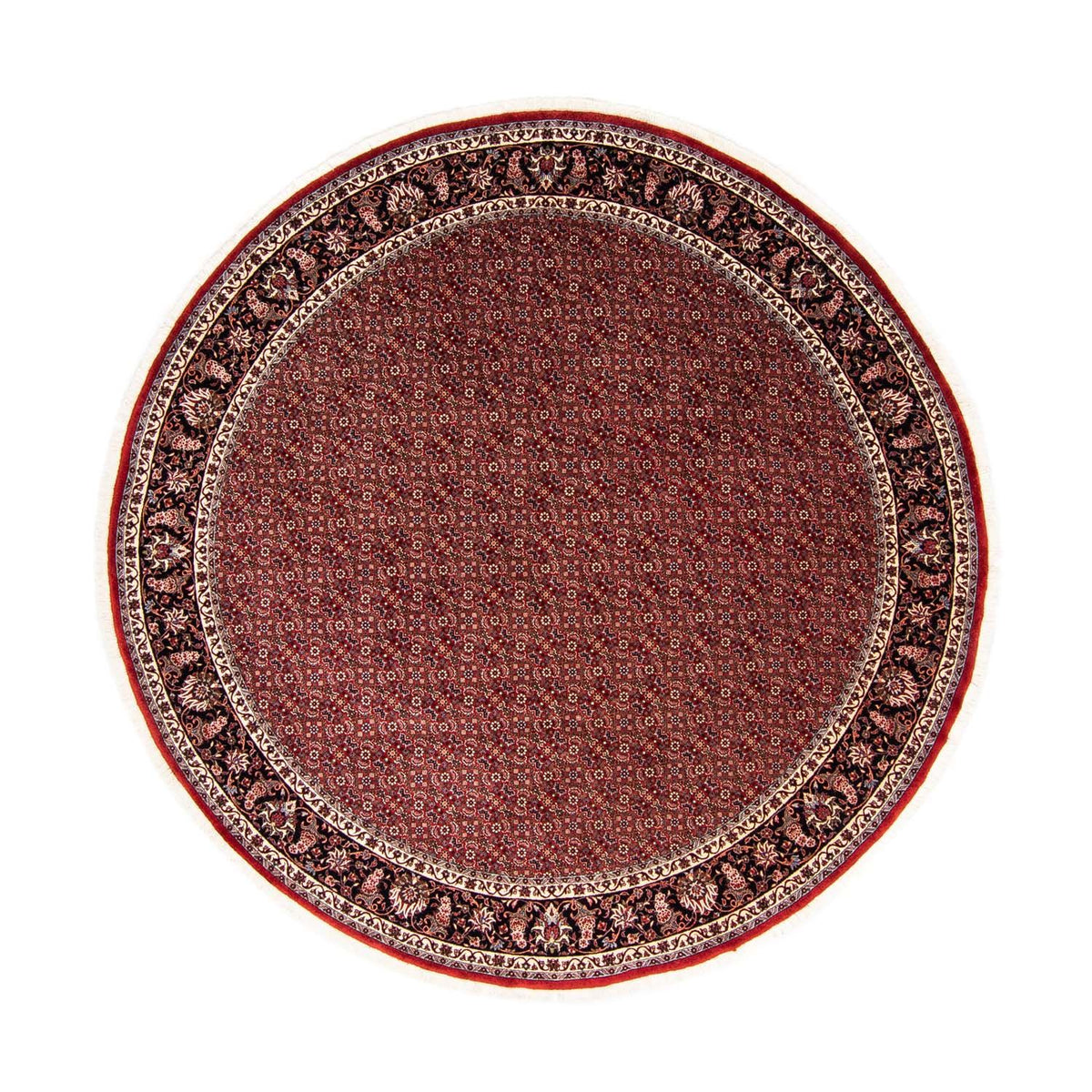 Tappeto Persero - Bidjar rotondo  - 250 x 250 cm - rosso scuro
