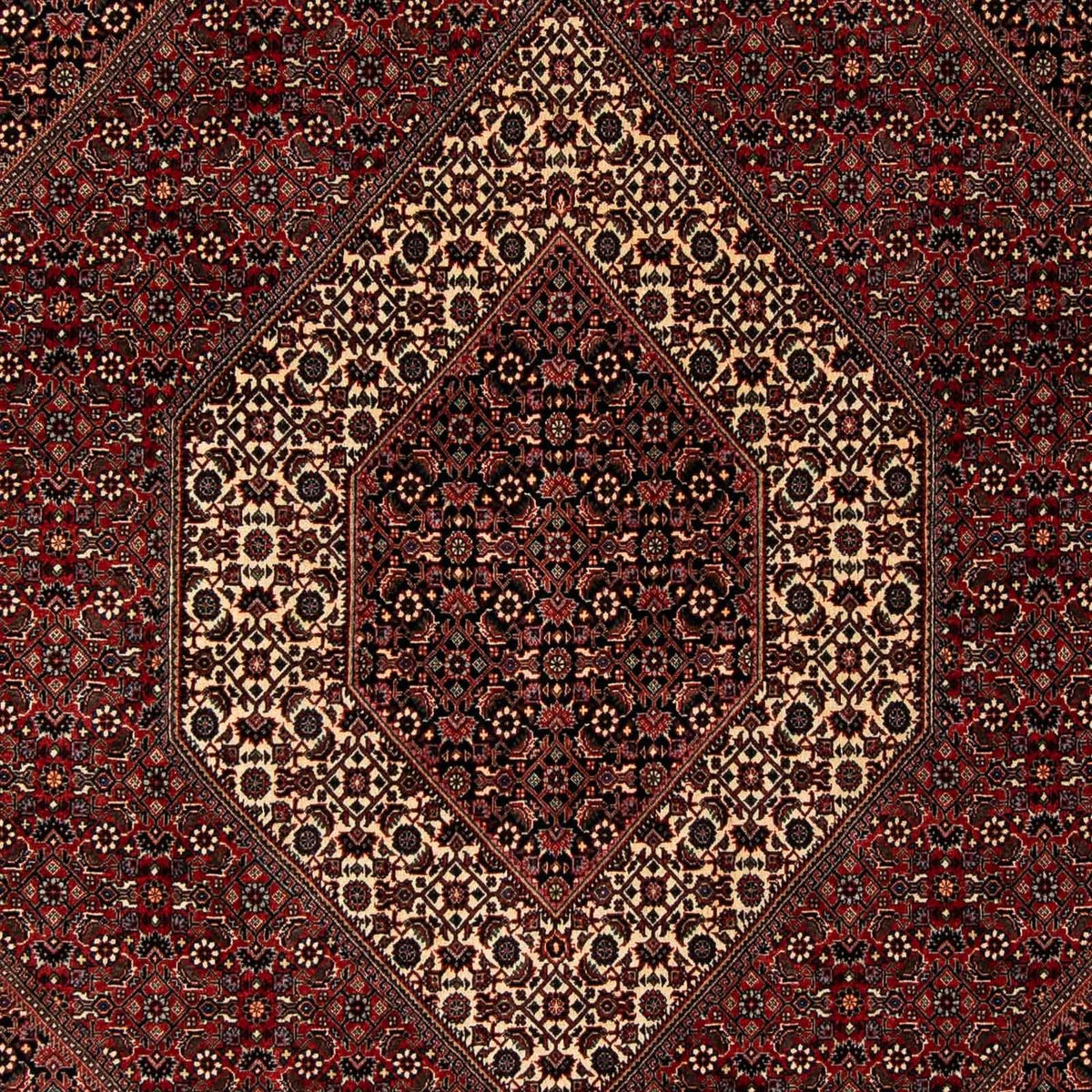 Tappeto Persero - Bidjar - 249 x 200 cm - rosso scuro