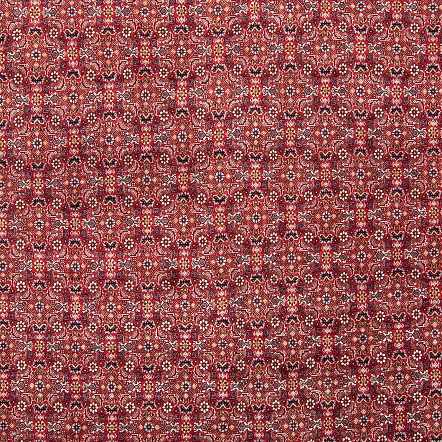 Tappeto Persero - Bidjar - 347 x 248 cm - rosso