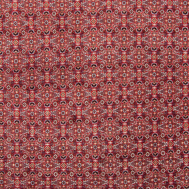 Tappeto Persero - Bidjar - 347 x 248 cm - rosso