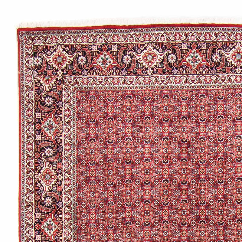 Tappeto Persero - Bidjar - 347 x 248 cm - rosso