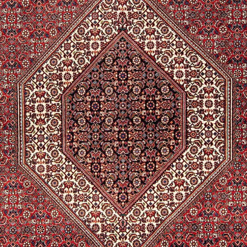 Tappeto Persero - Bidjar - 254 x 171 cm - rosso scuro