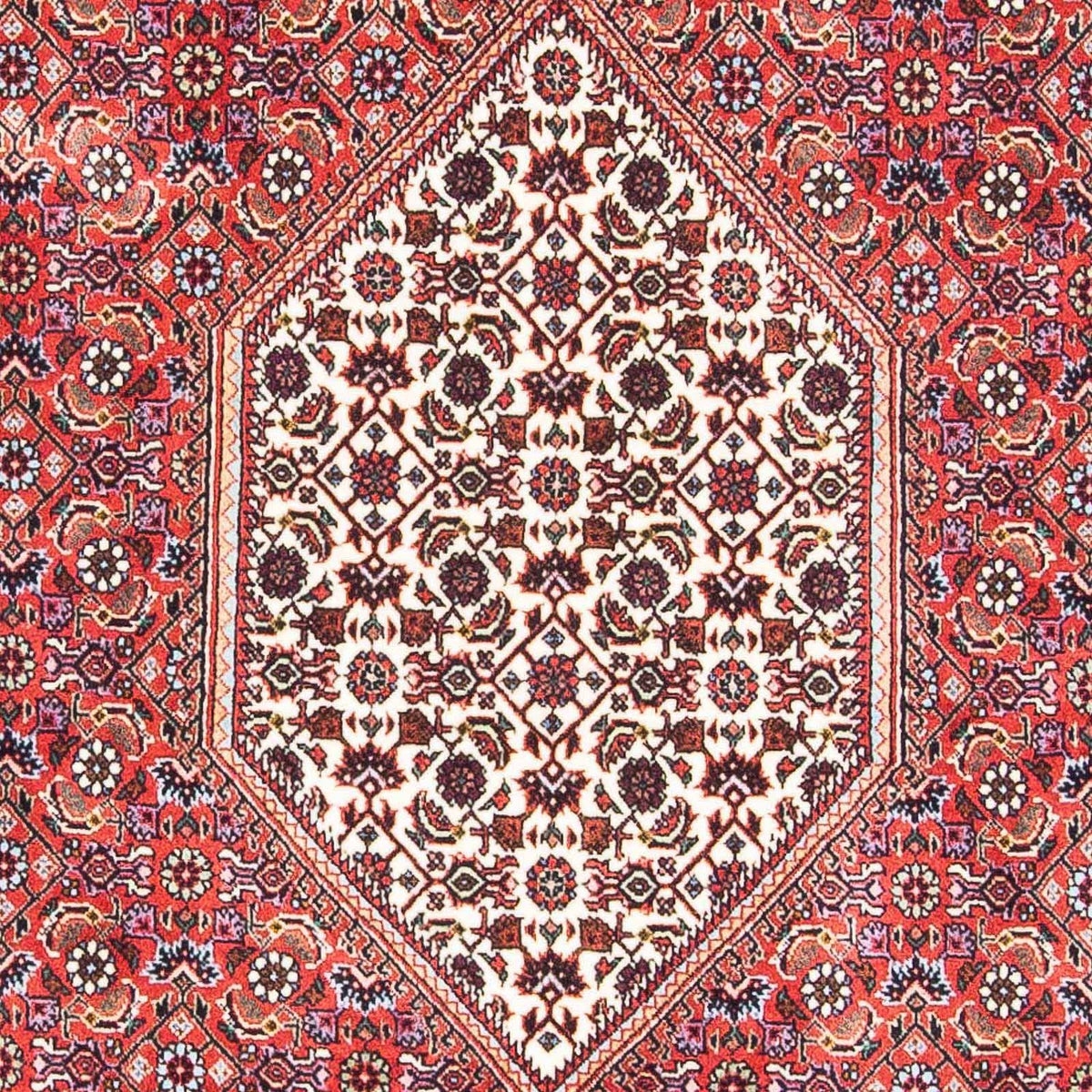 Tappeto Persero - Bidjar - 178 x 110 cm - rosso