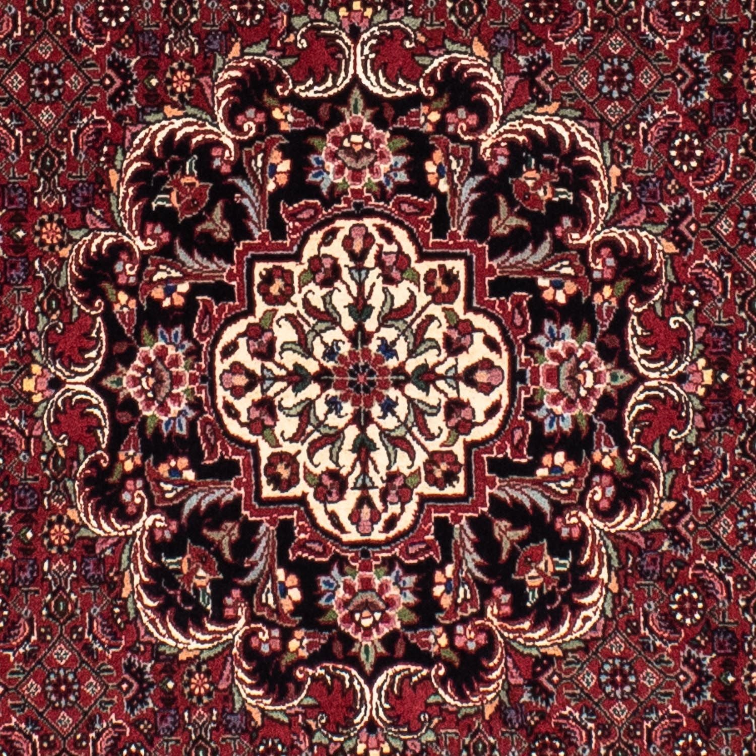 Tappeto Persero - Bidjar rotondo  - 154 x 154 cm - rosso scuro