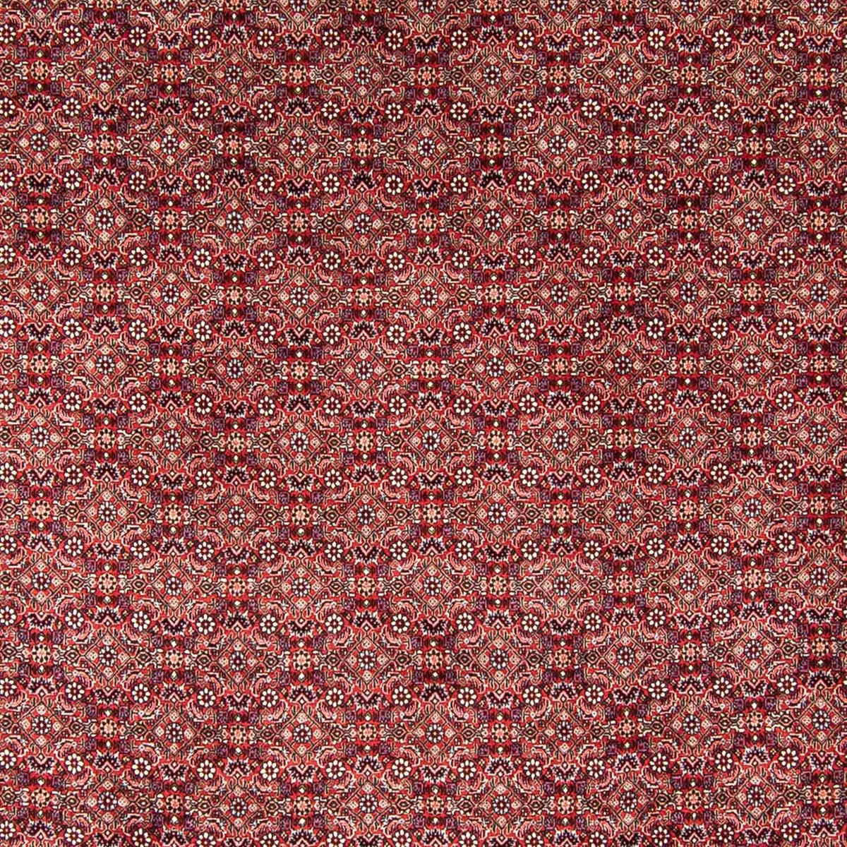 Tappeto Persero - Bidjar - 350 x 246 cm - rosso