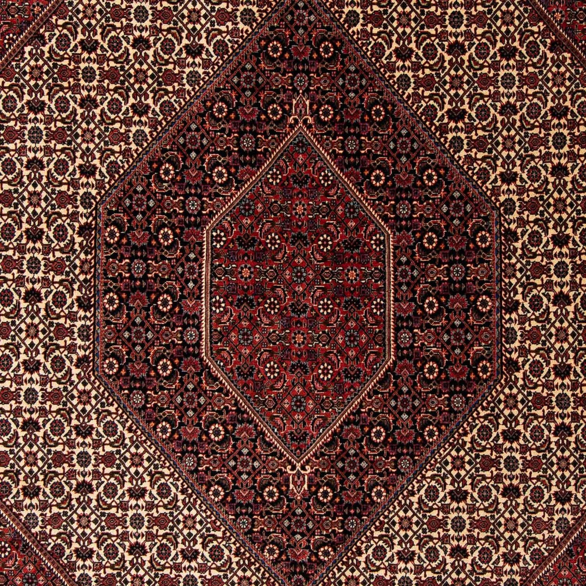 Tappeto Persero - Bidjar - 245 x 202 cm - rosso scuro