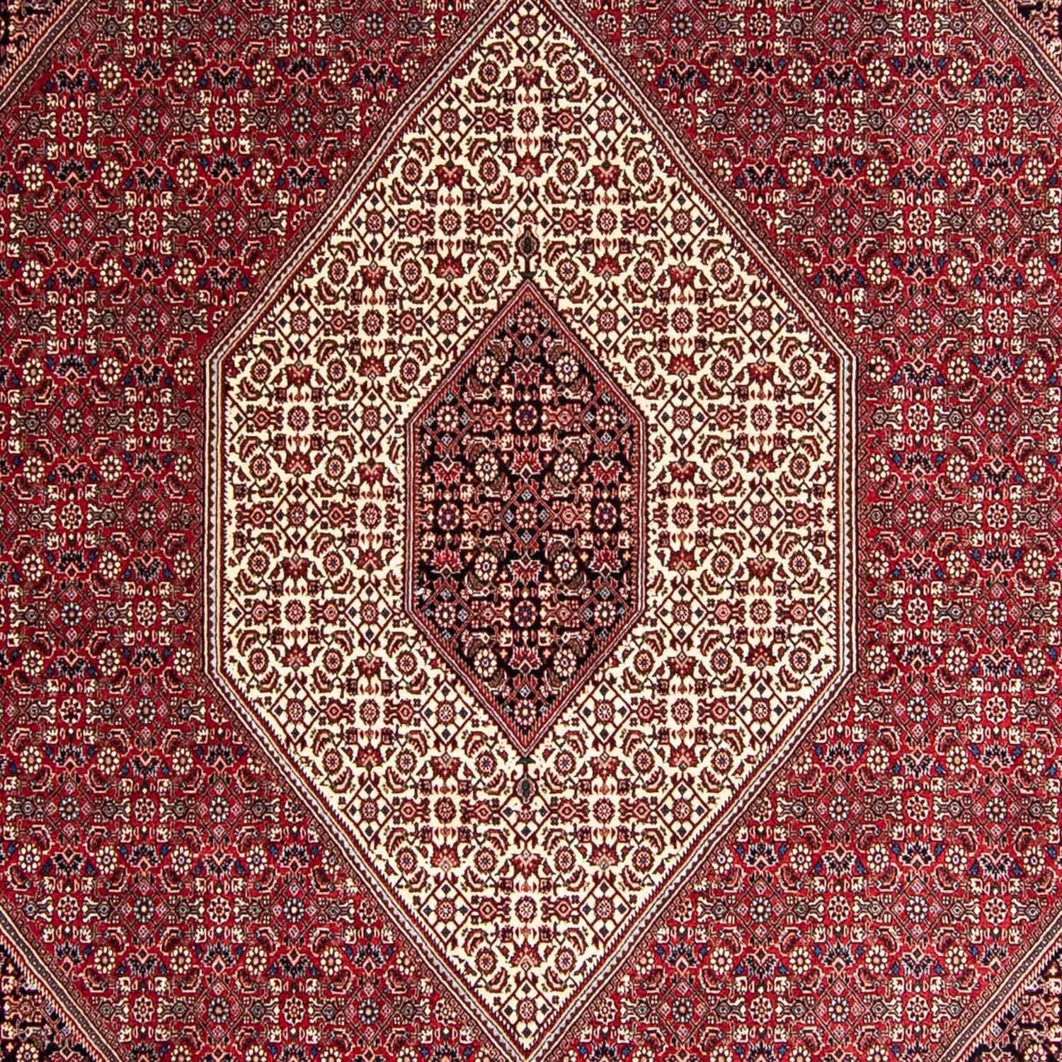 Tappeto Persero - Bidjar - 343 x 252 cm - rosso
