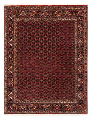 Tappeto Persero - Bidjar - 256 x 202 cm - rosso scuro