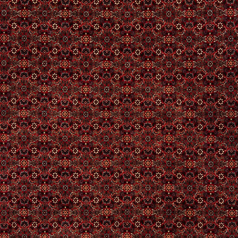 Tappeto Persero - Bidjar - 256 x 202 cm - rosso scuro
