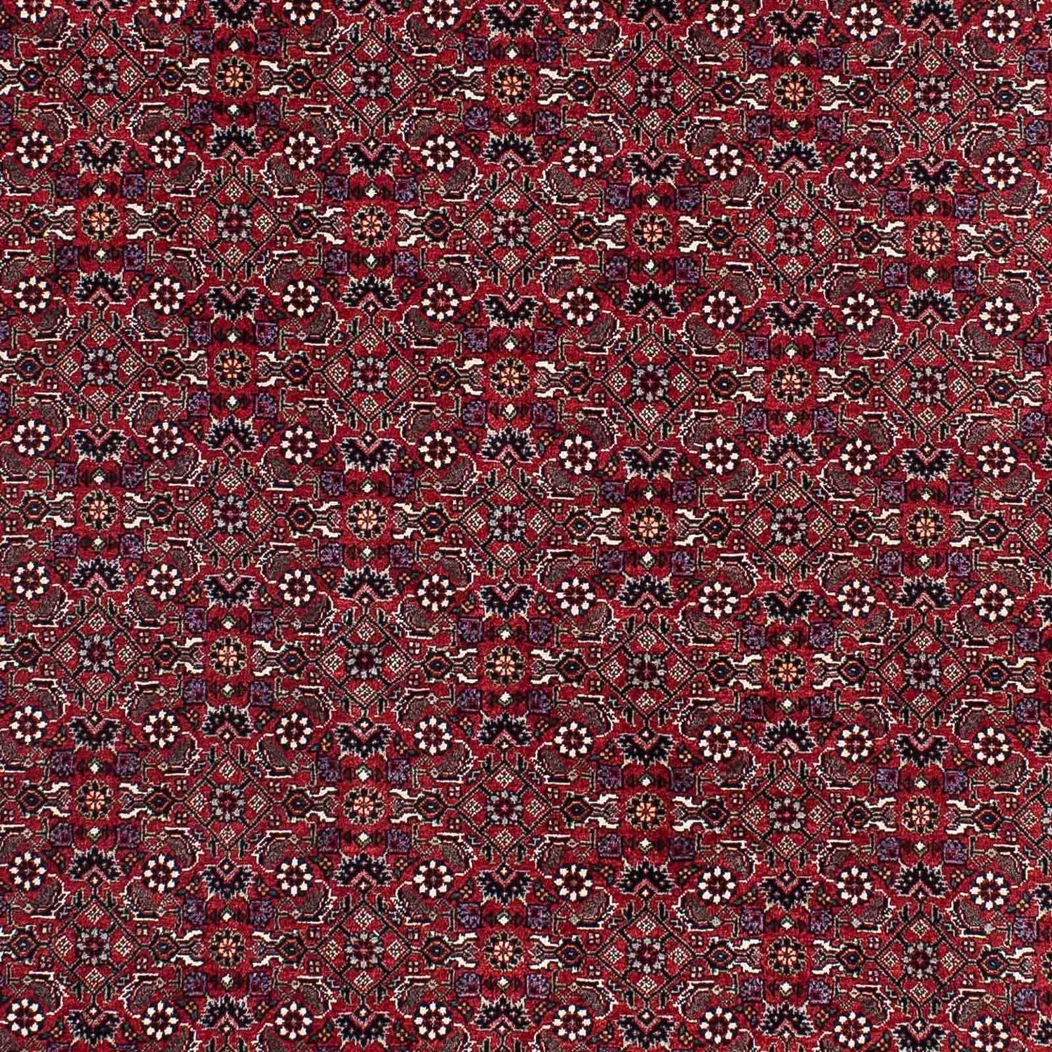 Tappeto Persero - Bidjar - 221 x 143 cm - rosso