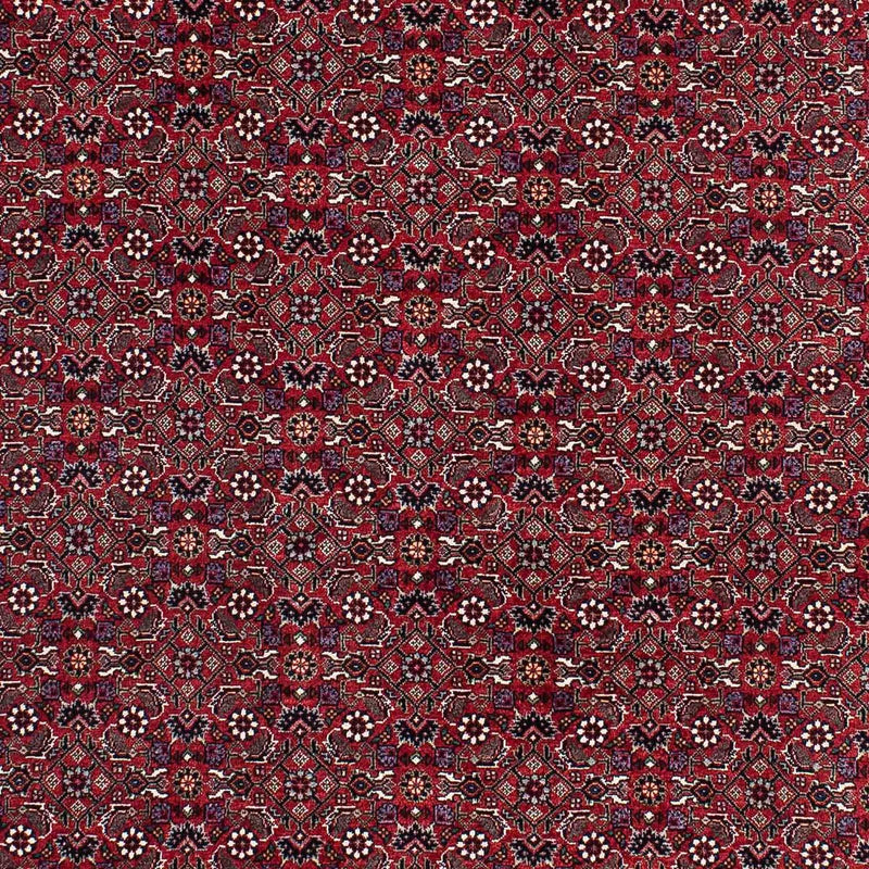 Tappeto Persero - Bidjar - 221 x 143 cm - rosso