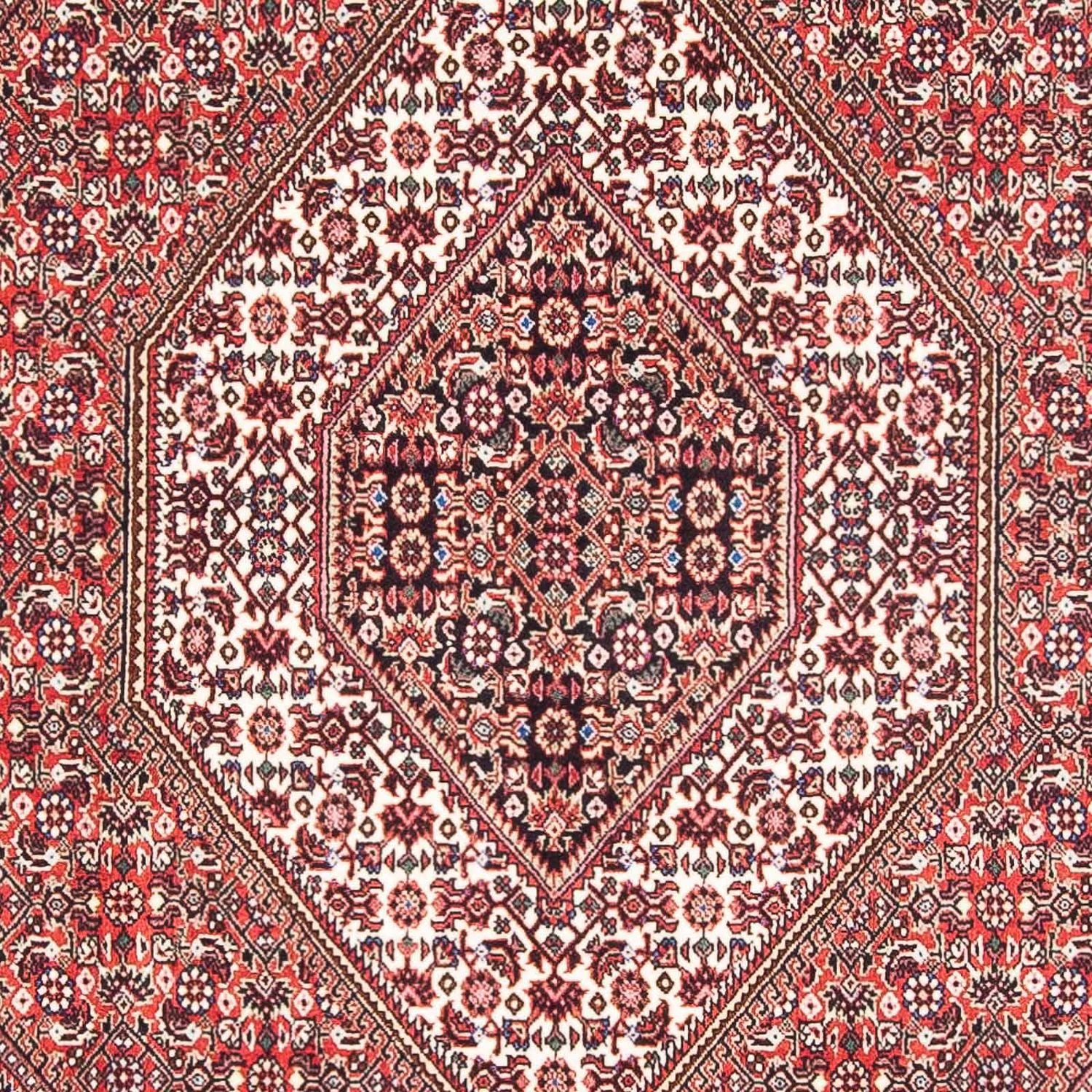 Tappeto Persero - Bidjar - 182 x 111 cm - rosso