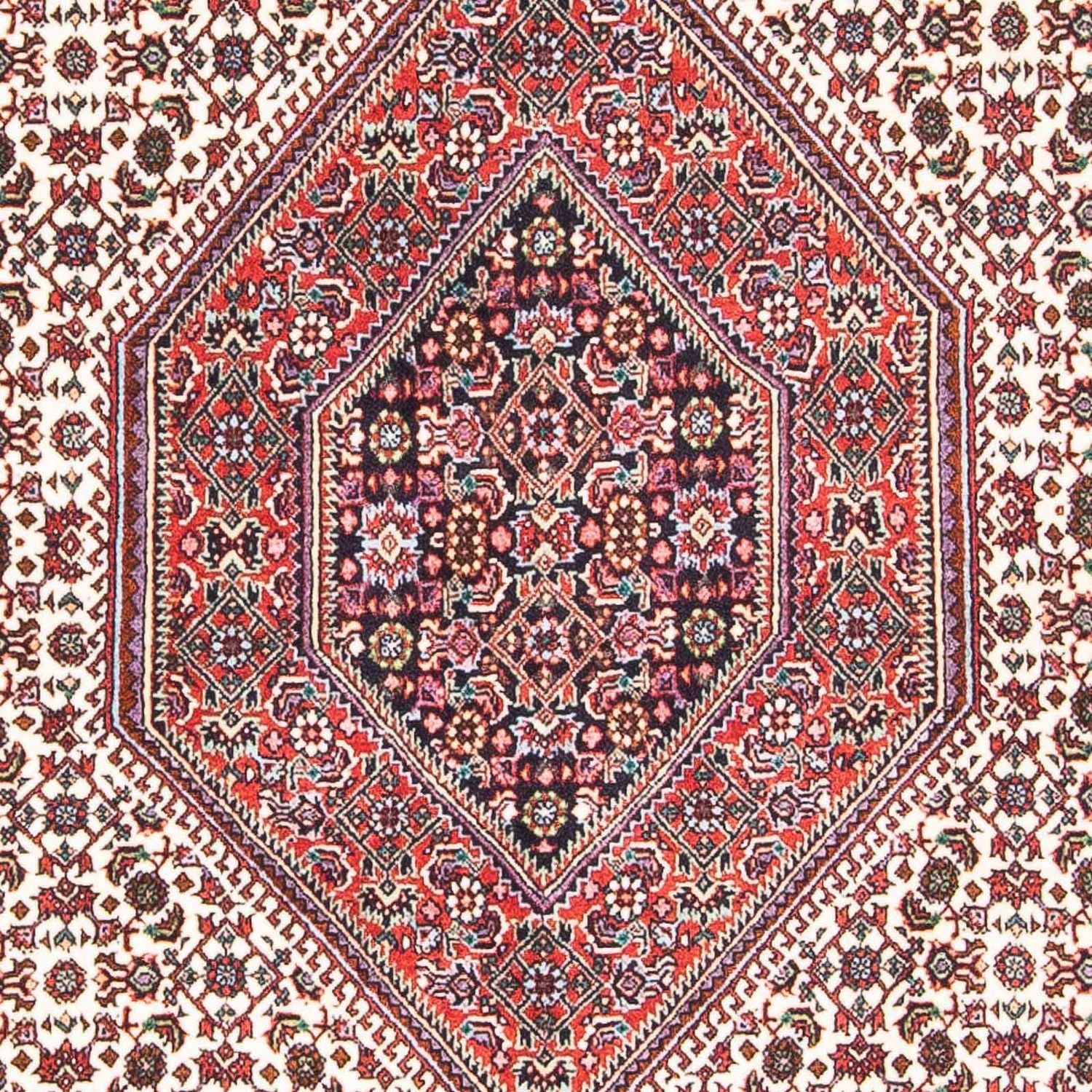 Tappeto Persero - Bidjar - 173 x 105 cm - beige