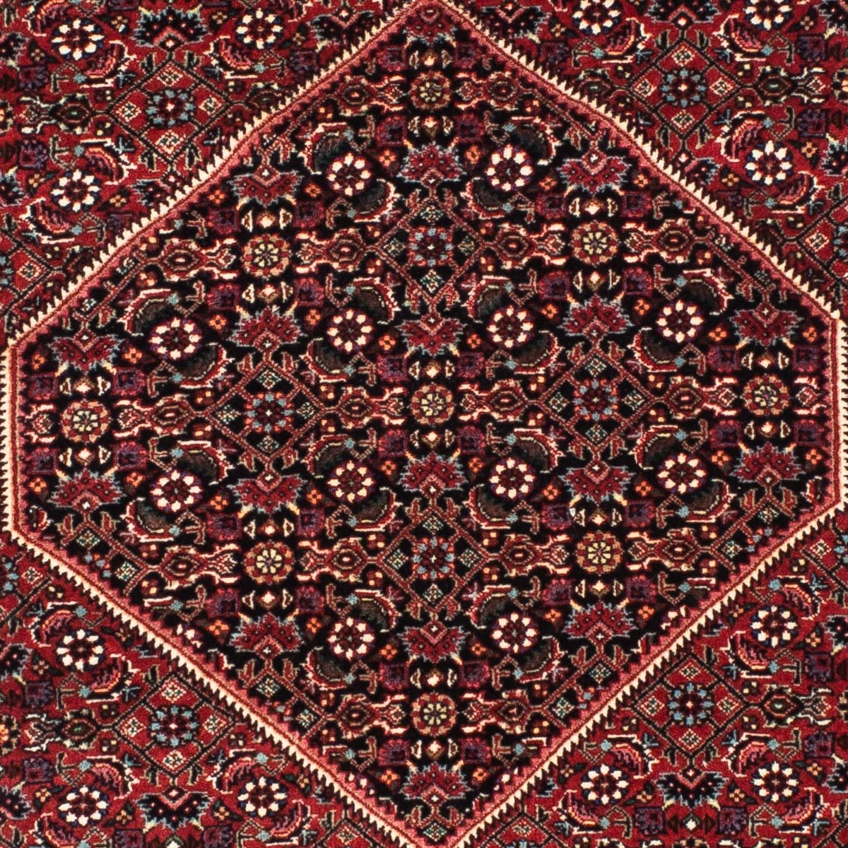 Tappeto corsia Tappeto Persero - Bidjar - 198 x 74 cm - rosso scuro