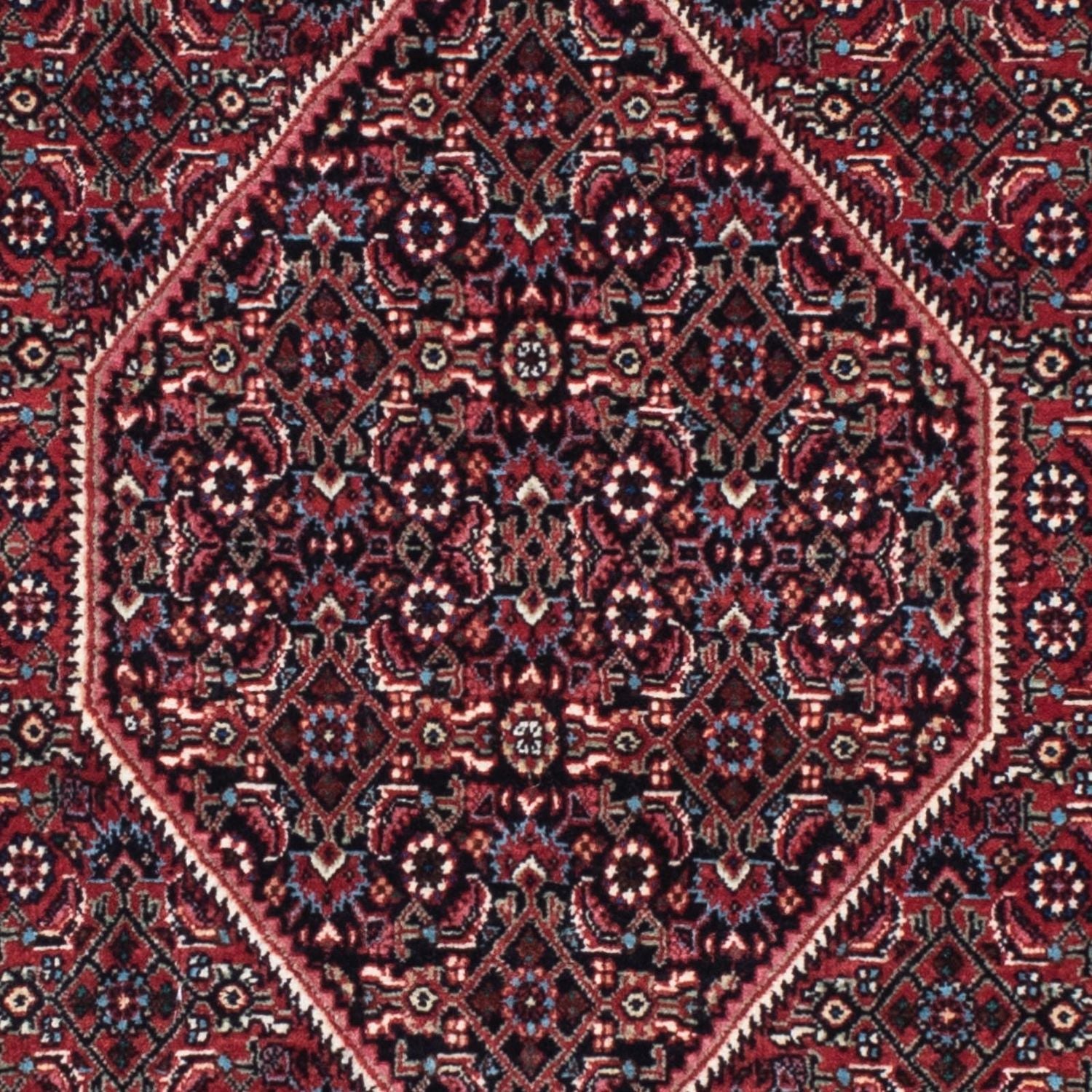 Tappeto corsia Tappeto Persero - Bidjar - 213 x 74 cm - blu scuro
