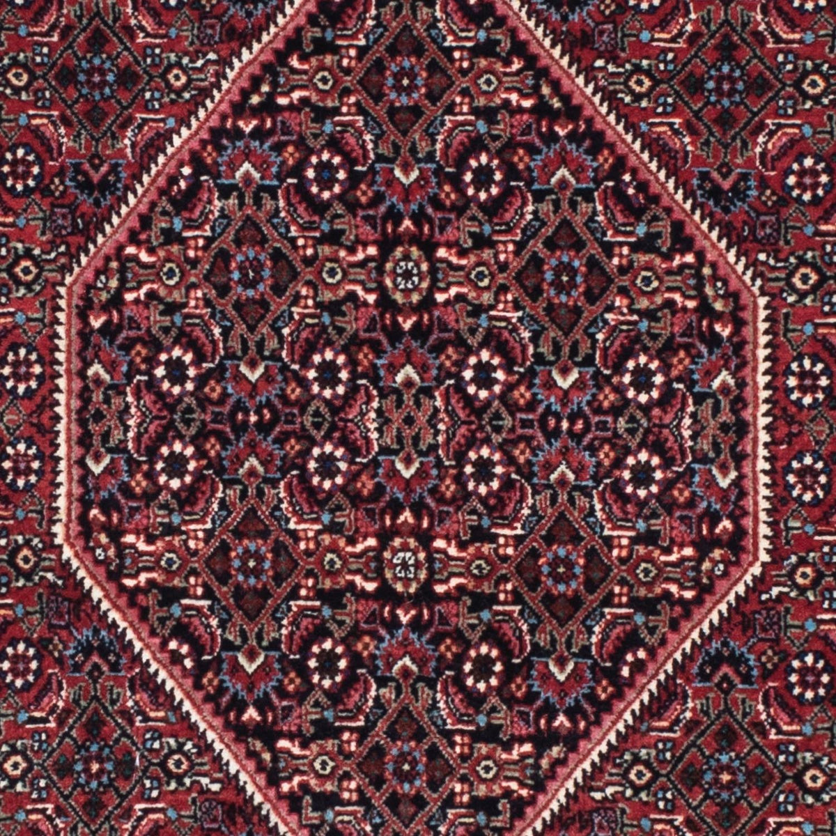 Tappeto corsia Tappeto Persero - Bidjar - 213 x 74 cm - blu scuro