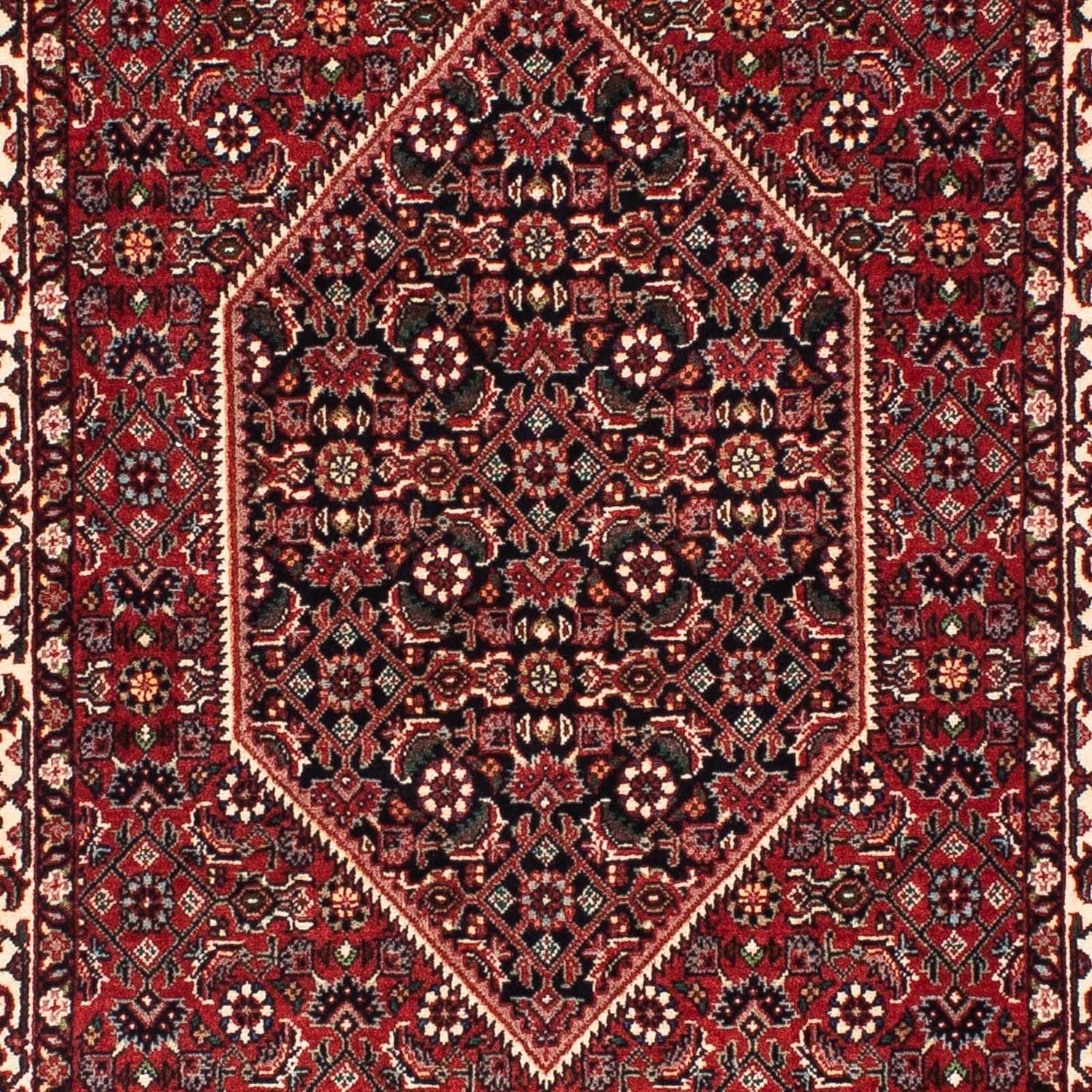 Tappeto corsia Tappeto Persero - Bidjar - 203 x 73 cm - rosso scuro