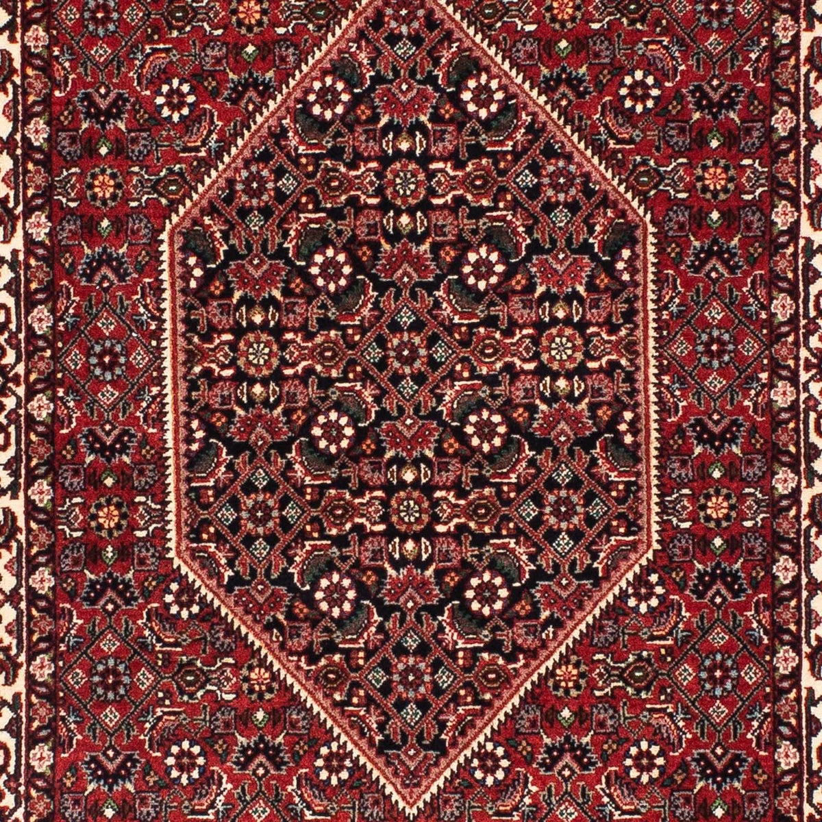 Tappeto corsia Tappeto Persero - Bidjar - 203 x 73 cm - rosso scuro