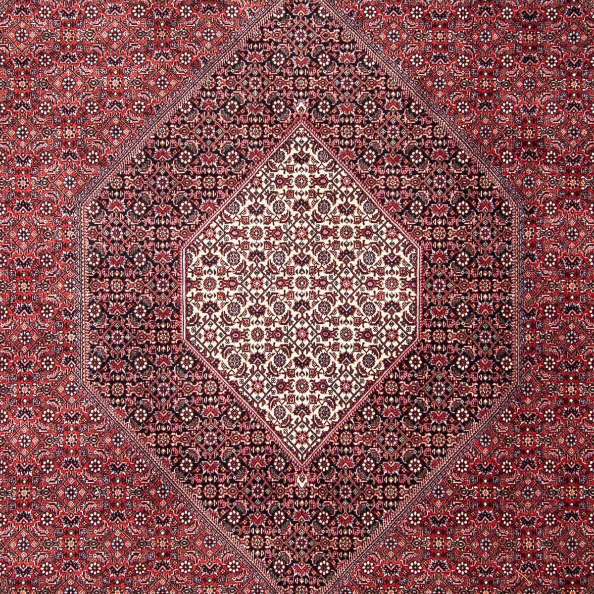 Tappeto Persero - Bidjar - 302 x 253 cm - rosso