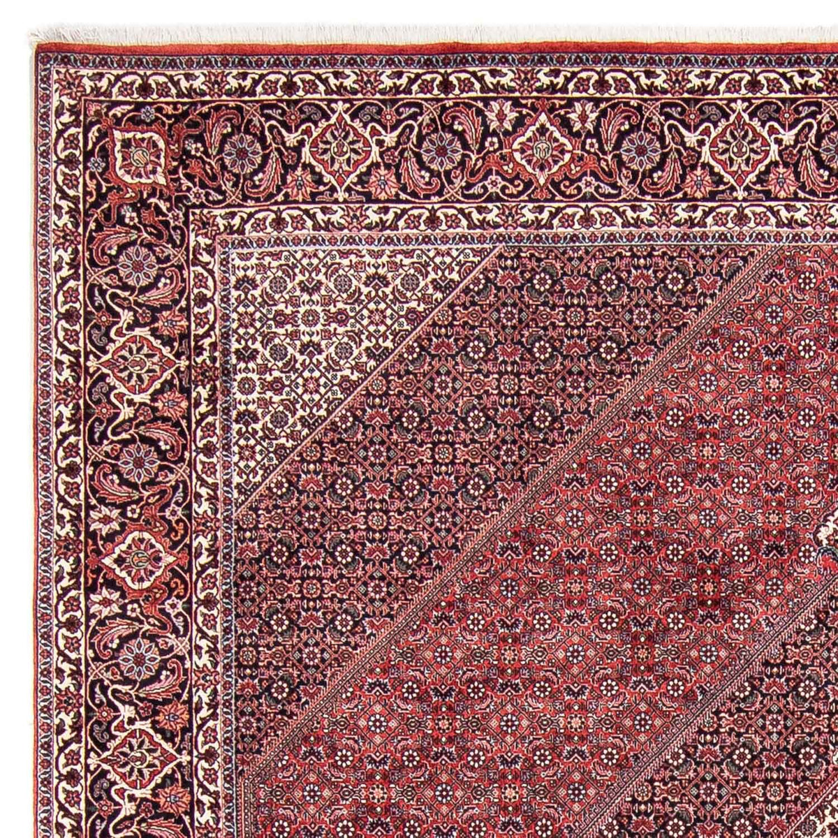 Tappeto Persero - Bidjar - 302 x 253 cm - rosso