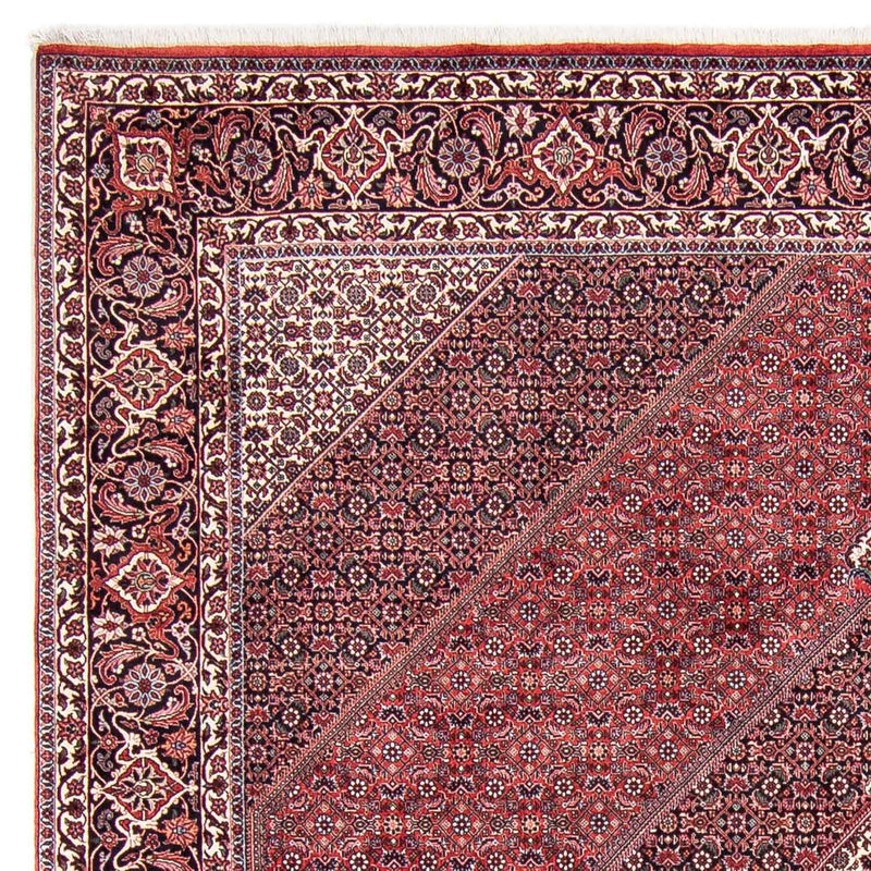 Tappeto Persero - Bidjar - 302 x 253 cm - rosso