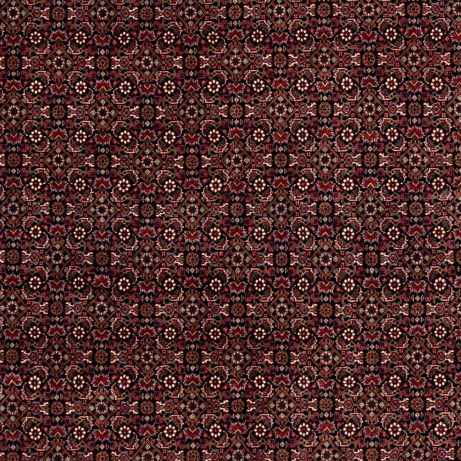 Tappeto Persero - Bidjar - 248 x 198 cm - rosso scuro