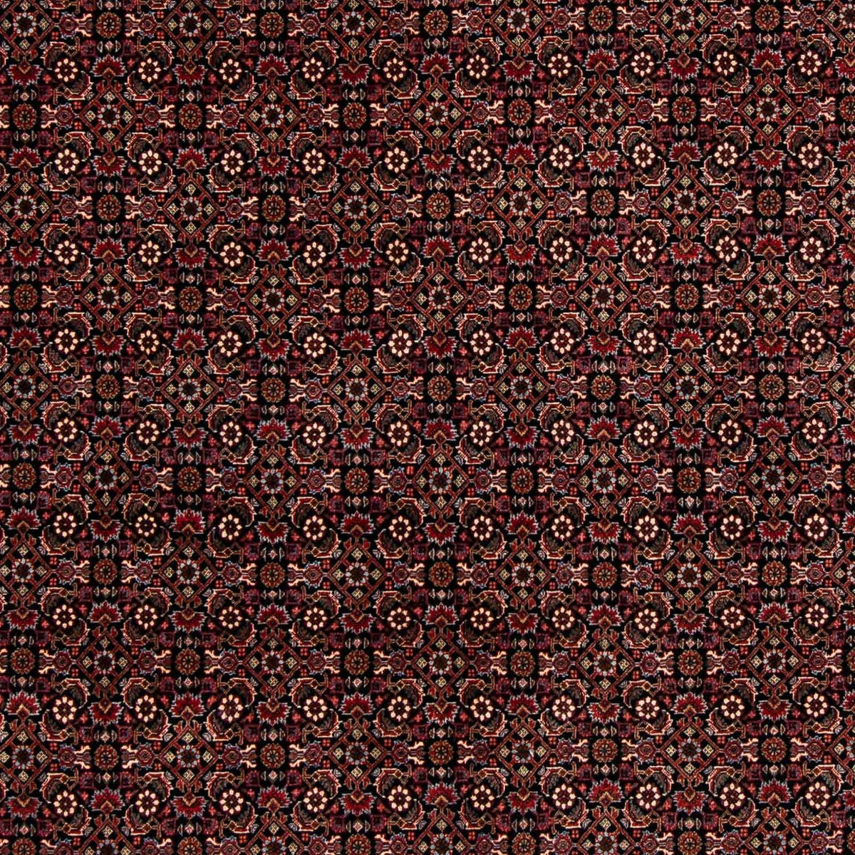 Tappeto Persero - Bidjar - 248 x 198 cm - rosso scuro