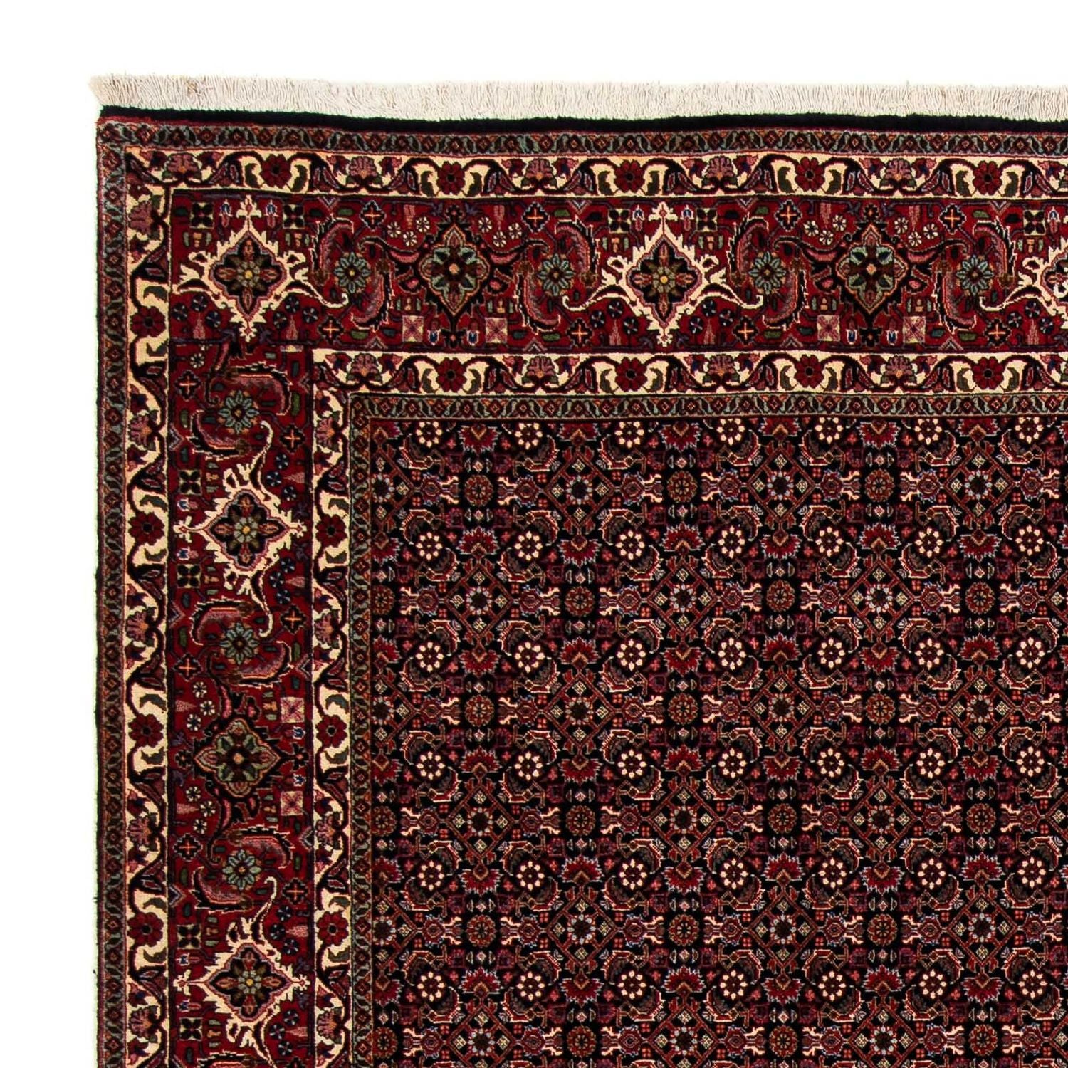 Tappeto Persero - Bidjar - 248 x 198 cm - rosso scuro