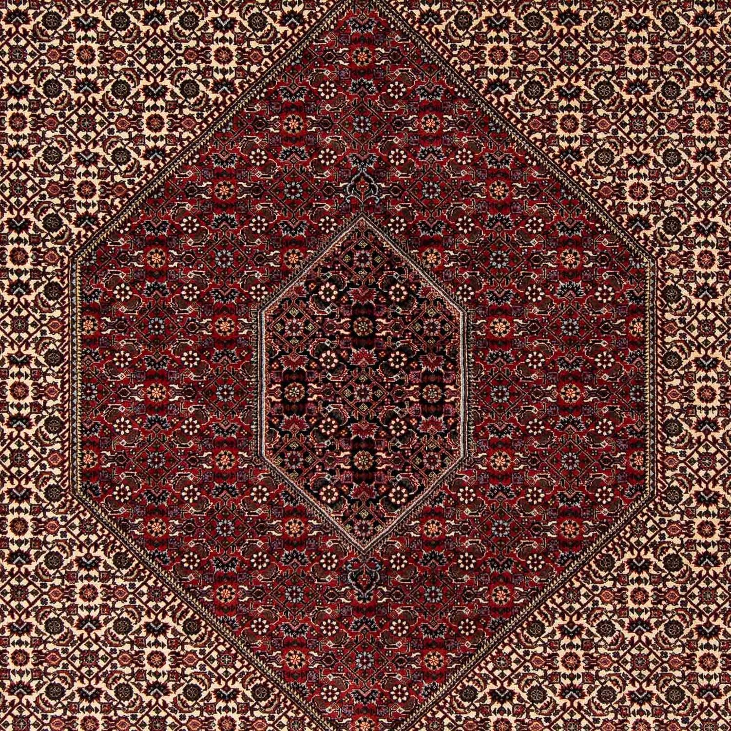 Tappeto Persero - Bidjar - 262 x 205 cm - rosso scuro