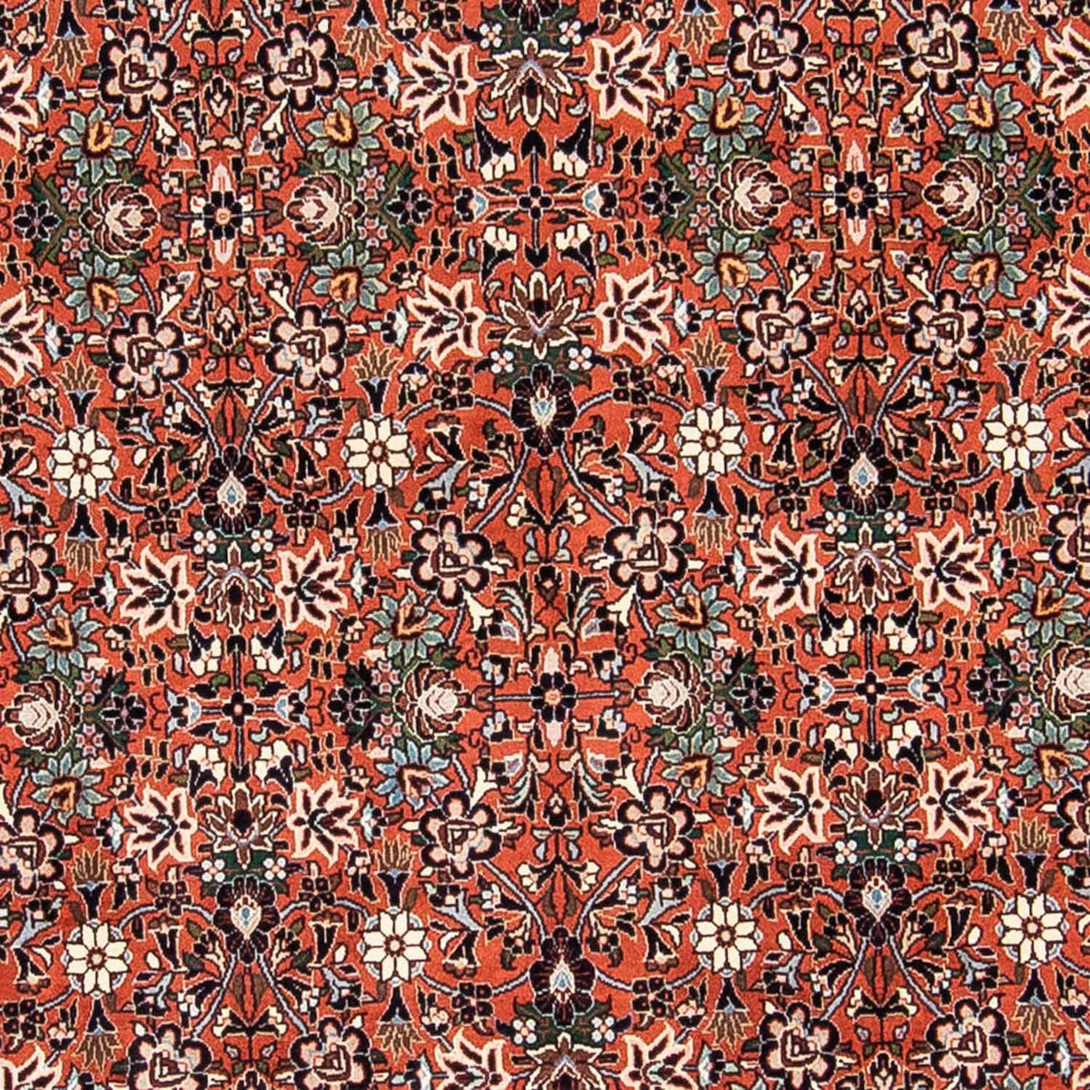 Tappeto Persero - Bidjar - 240 x 150 cm - rosso chiaro