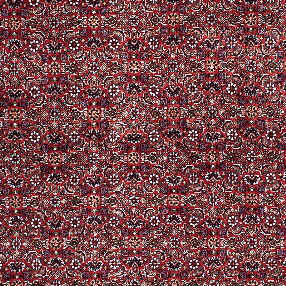 Tappeto Persero - Bidjar - 214 x 131 cm - rosso