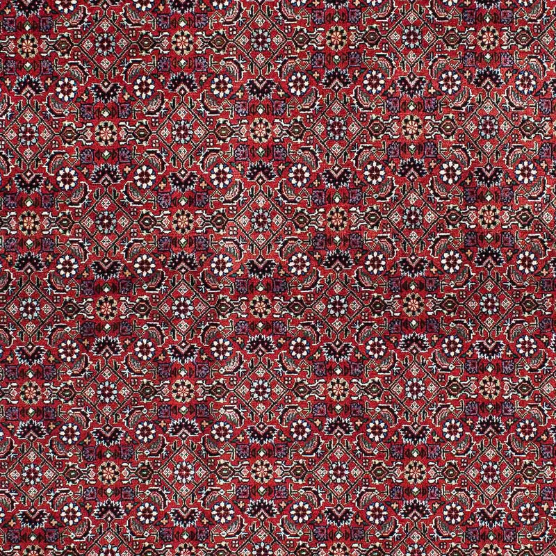 Tappeto Persero - Bidjar - 214 x 131 cm - rosso