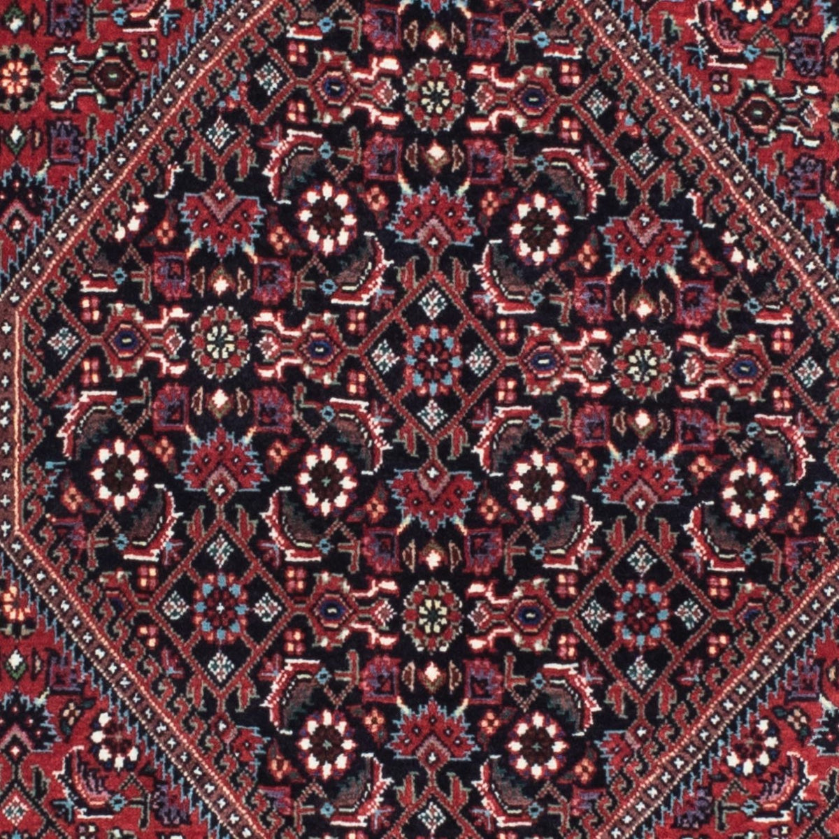 Tappeto corsia Tappeto Persero - Bidjar - 211 x 77 cm - blu scuro