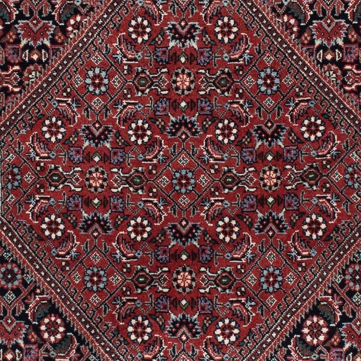 Tappeto corsia Tappeto Persero - Bidjar - 217 x 73 cm - blu scuro