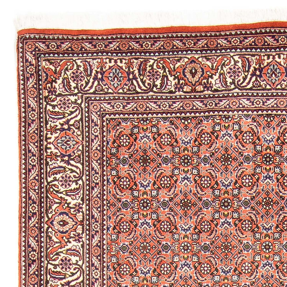 Bidjar Tappeto 168x239cm - Tappeto persiano