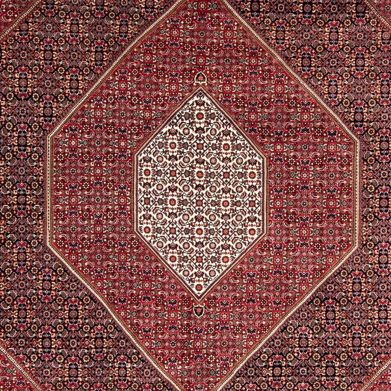 Tappeto Persero - Bidjar - 350 x 252 cm - rosso scuro