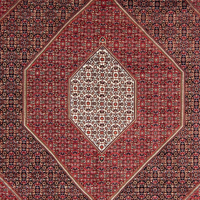 Tappeto Persero - Bidjar - 350 x 252 cm - rosso scuro