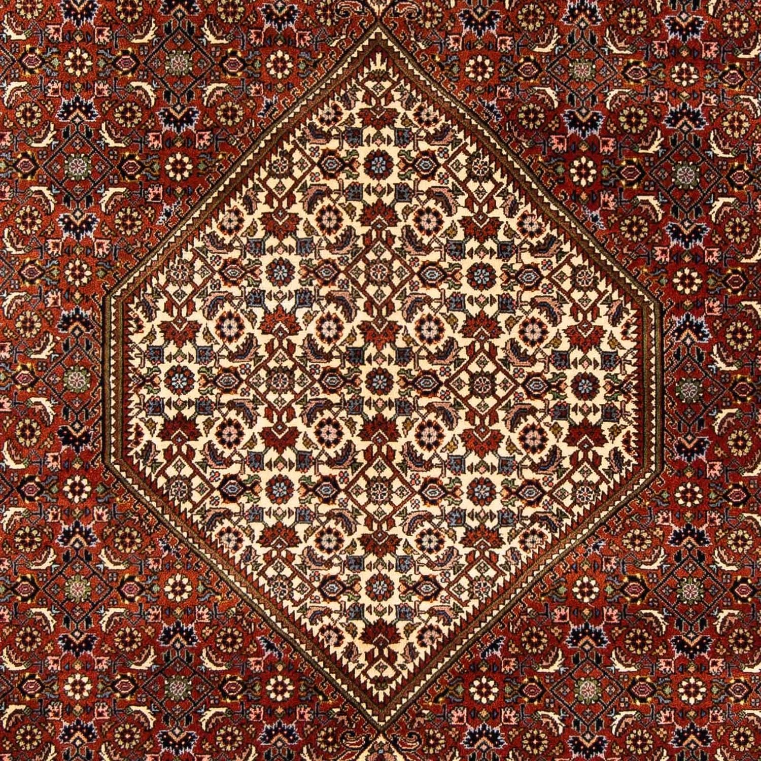 Tappeto Persero - Bidjar - 240 x 165 cm - marrone