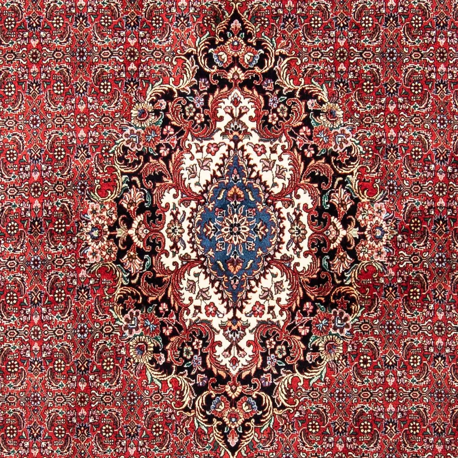 Tappeto Persero - Bidjar - 233 x 166 cm - rosso