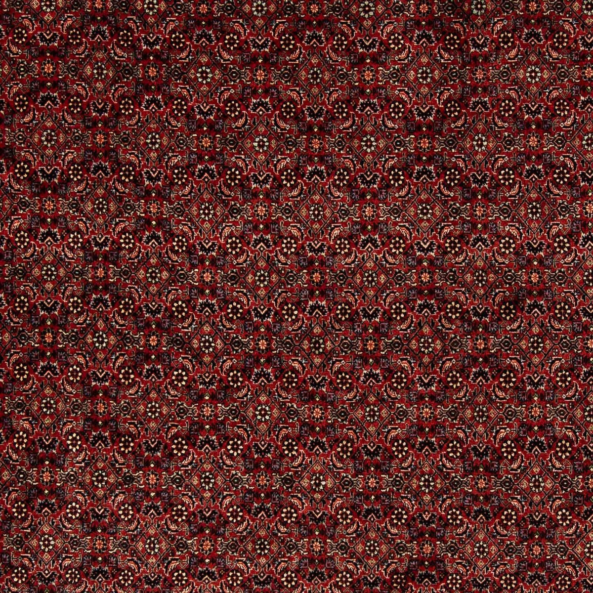 Tappeto Persero - Bidjar - 246 x 200 cm - rosso scuro