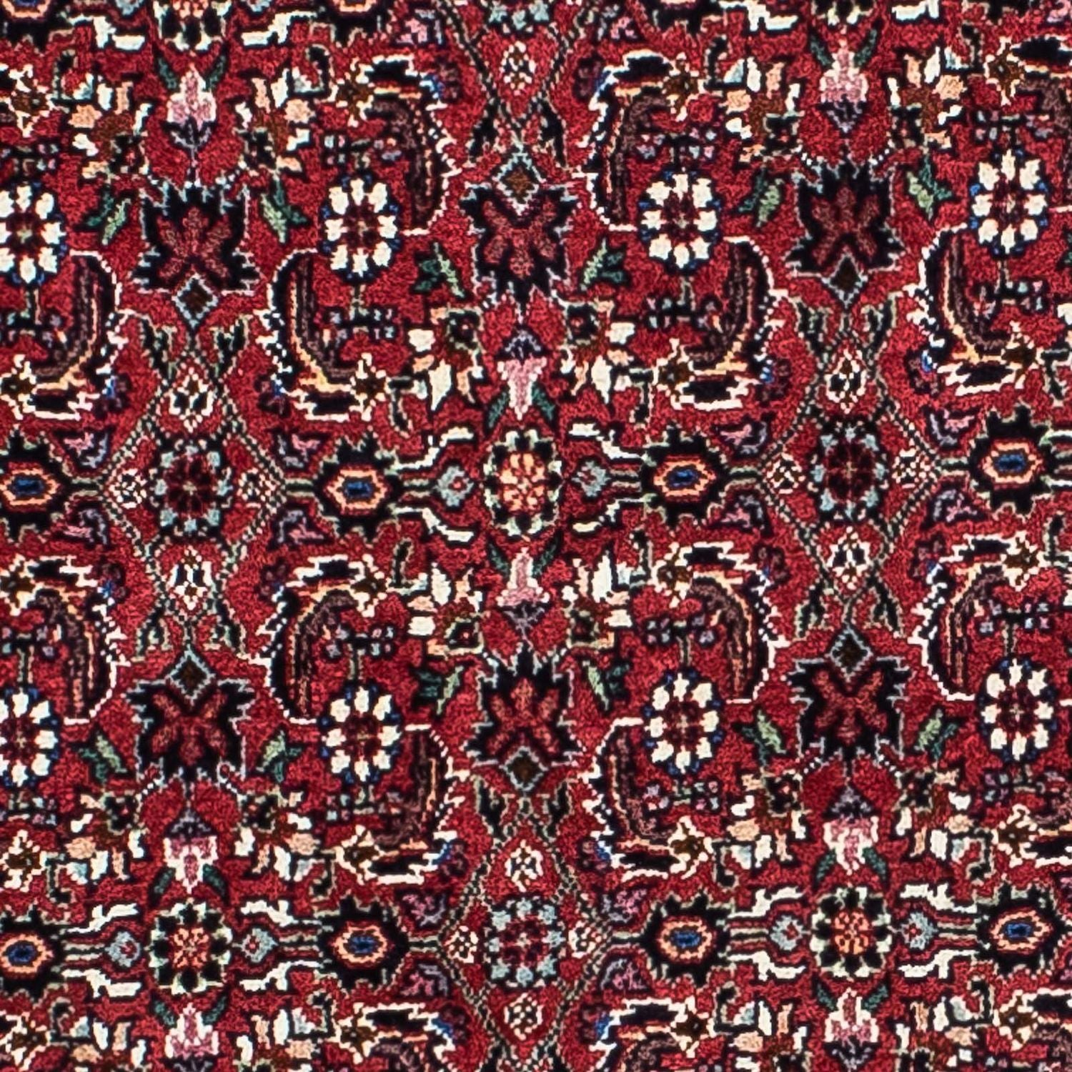 Tappeto Persero - Bidjar - 208 x 134 cm - rosso scuro