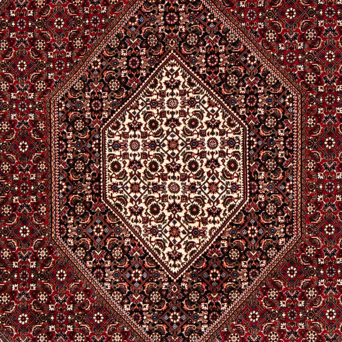 Tappeto Persero - Bidjar - 238 x 165 cm - rosso scuro