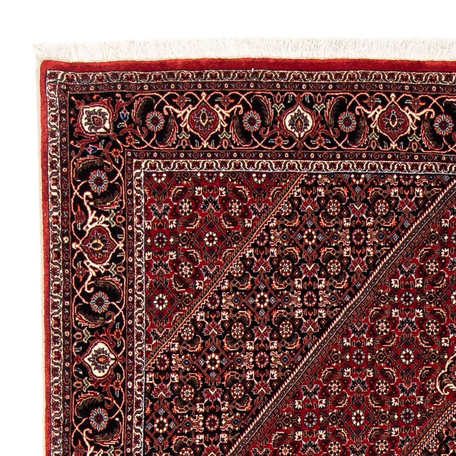 Tappeto Persero - Bidjar - 238 x 165 cm - rosso scuro